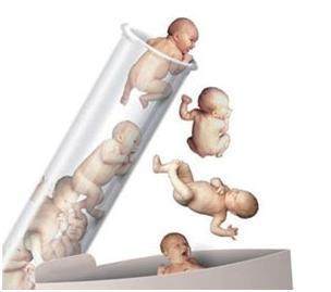 专家